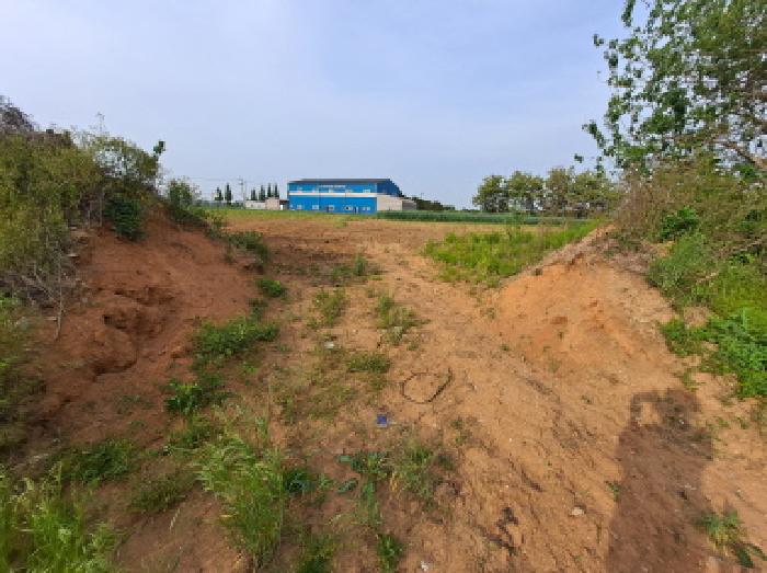 충청남도 당진시 신평면 도성리 187-5 외 3필지 전 경매 사진 13
