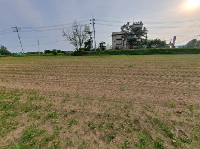충청남도 당진시 신평면 도성리 187-5 외 3필지 전 경매 사진 9