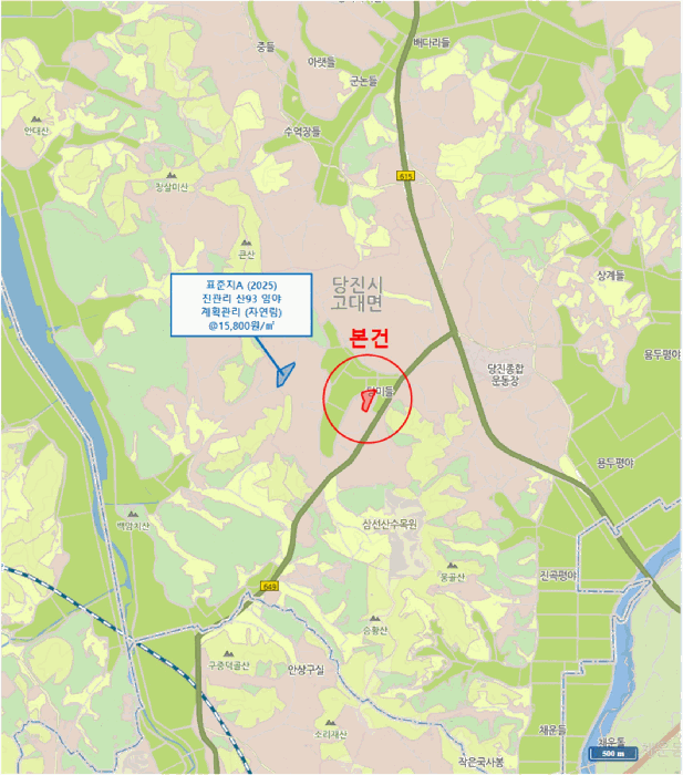 충청남도 당진시 고대면 진관리 1217-1 외 2필지 임야 경매 사진 12