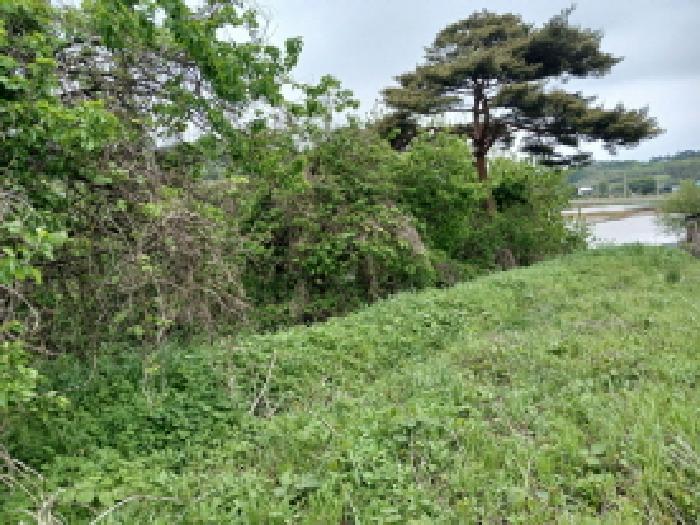 충청남도 당진시 고대면 진관리 1217-1 외 2필지 임야 경매 사진 4
