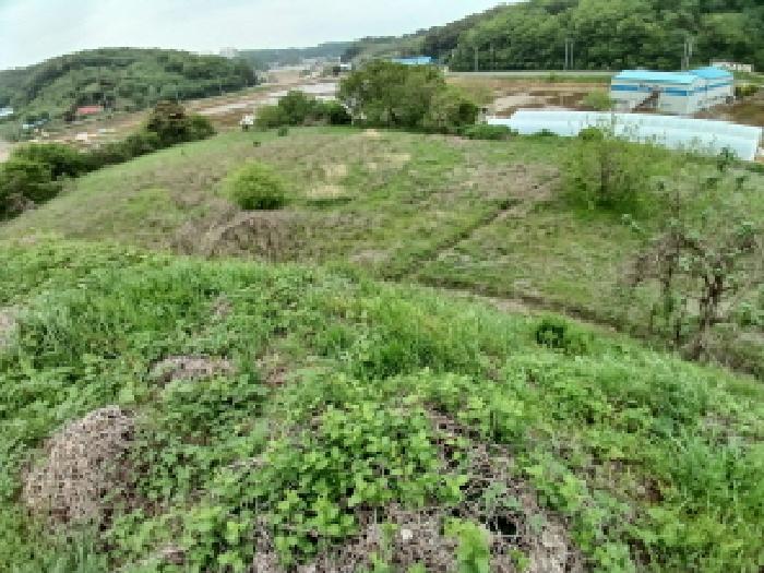 충청남도 당진시 고대면 진관리 1217-1 외 2필지 임야 경매 사진 5