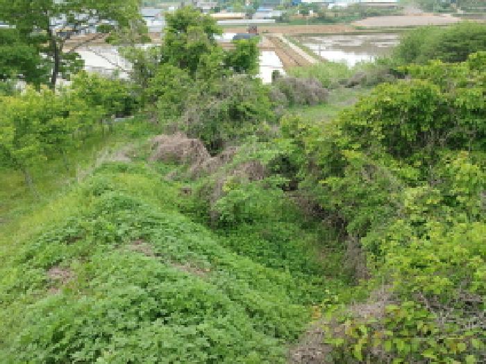 충청남도 당진시 고대면 진관리 1217-1 외 2필지 임야 경매 사진 7