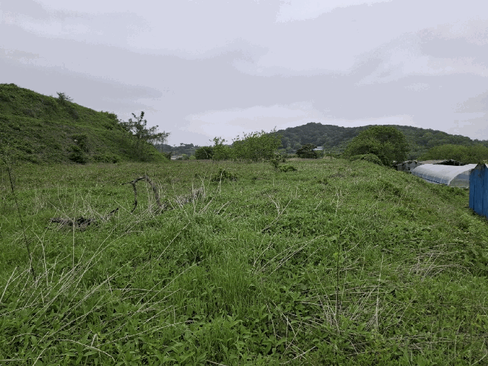 충청남도 당진시 고대면 진관리 1217-1 외 2필지 임야 경매 사진 8