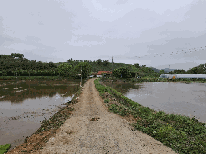 충청남도 당진시 고대면 진관리 1217-1 외 2필지 임야 경매 사진 10