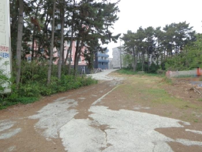 충청남도 태안군 안면읍 창기리 1269-162 외 3필지 숙박시설 경매 사진 17