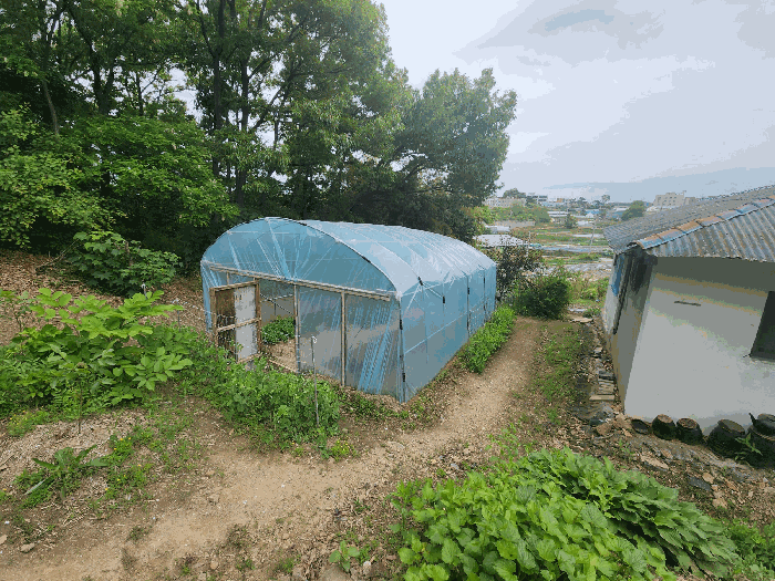 충청남도 당진시 석문면 교로리 산143-1 임야 경매 사진 29