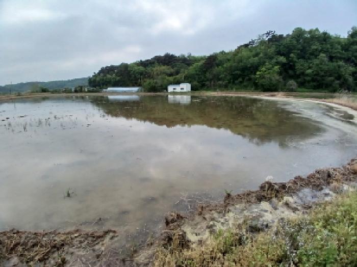 충청남도 당진시 고대면 슬항리 152-21 답 경매 사진 2