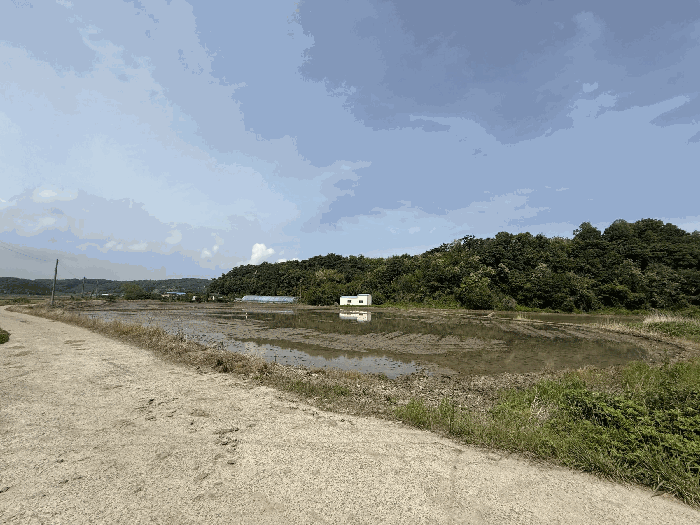 충청남도 당진시 고대면 슬항리 152-21 답 경매 사진 11