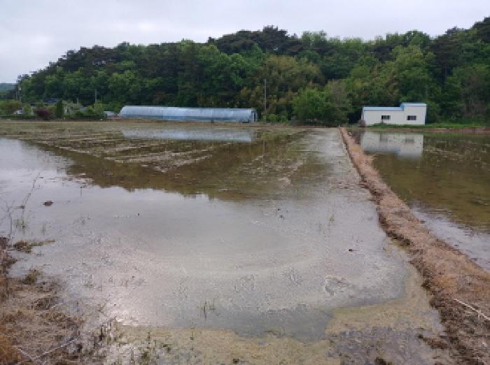 충청남도 당진시 고대면 슬항리 152-21 답 경매 사진 3