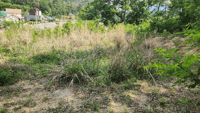 경상북도 구미시 부곡동 551 대지 경매 사진 12