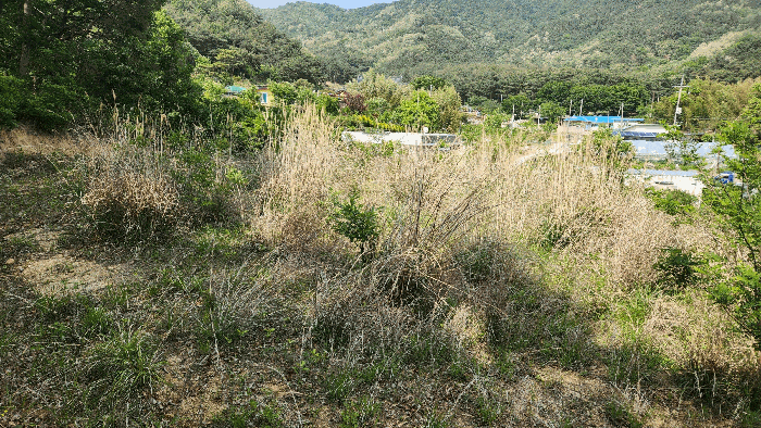 경상북도 구미시 부곡동 551 대지 경매 사진 14