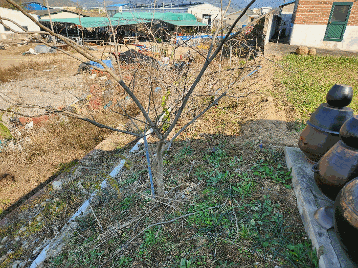 경상남도 창녕군 계성면 광계리 116 외 7필지 근린생활시설 경매 사진 35
