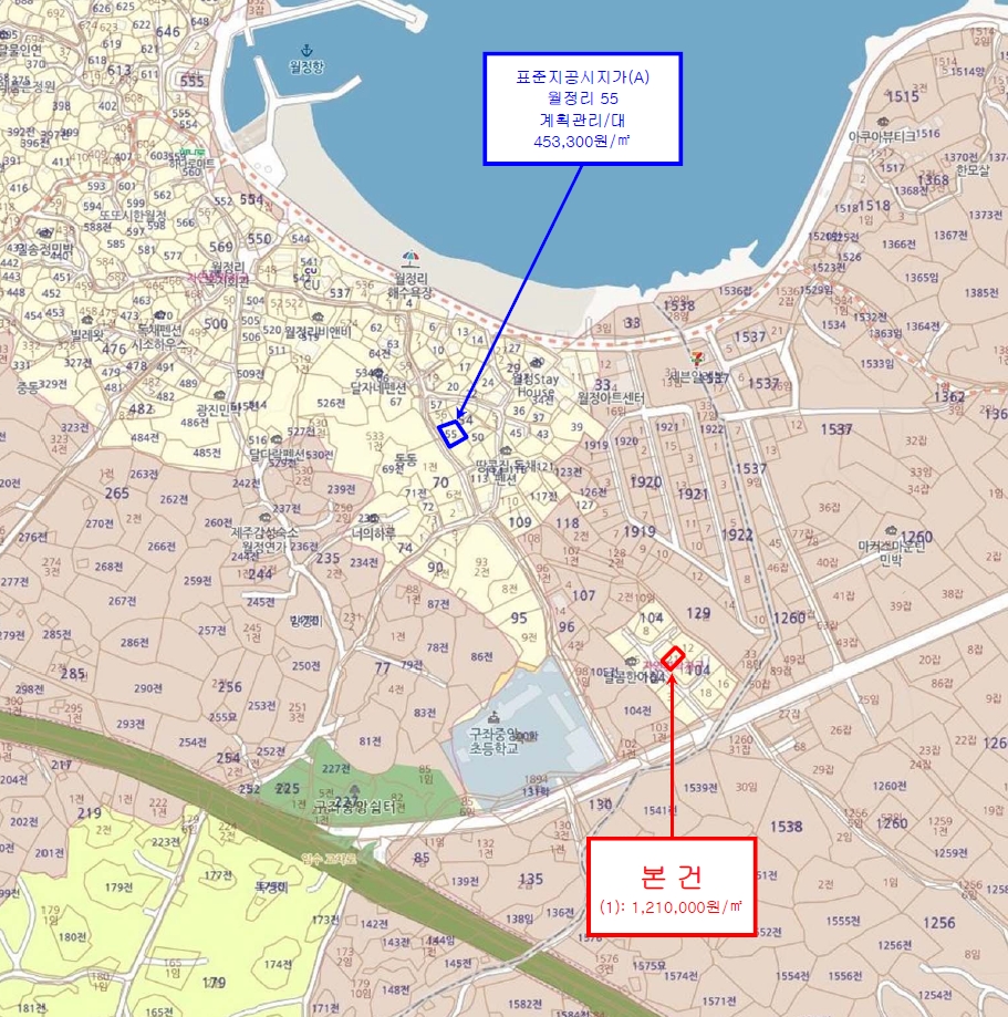 제주특별자치도 제주시 구좌읍 월정리 104-21 대지 경매 사진 11
