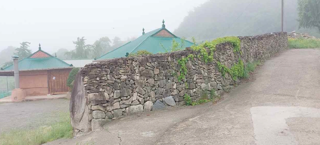 충청남도 예산군 덕산면 외라리 186 대지 경매 사진 1