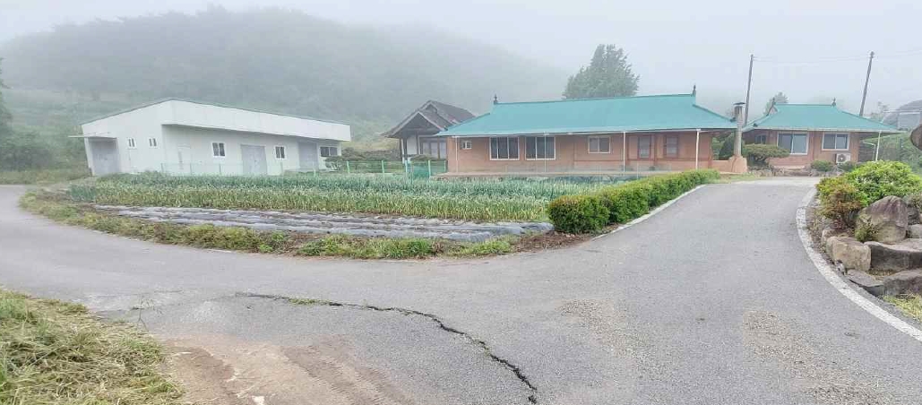 충청남도 예산군 덕산면 외라리 186 대지 경매 사진 10