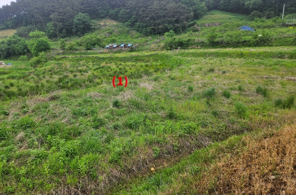 충청남도 아산시 영인면 역리 115-1 외 9필지 단독주택 경매 사진 1