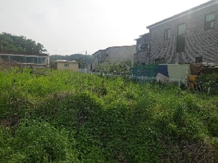 충청남도 아산시 영인면 역리 115-1 외 9필지 단독주택 경매 사진 38