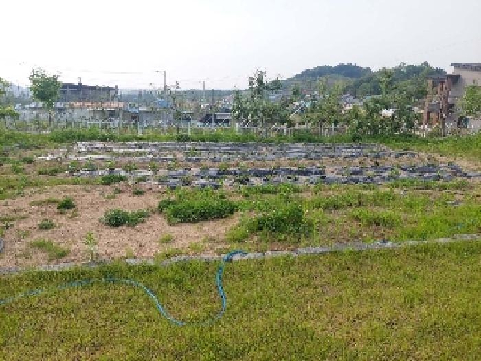 충청남도 아산시 영인면 역리 115-1 외 9필지 단독주택 경매 사진 46
