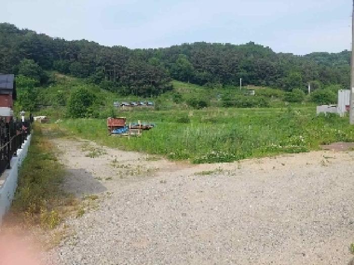 충청남도 아산시 영인면 역리 115-1 외 9필지 단독주택 경매 사진 54
