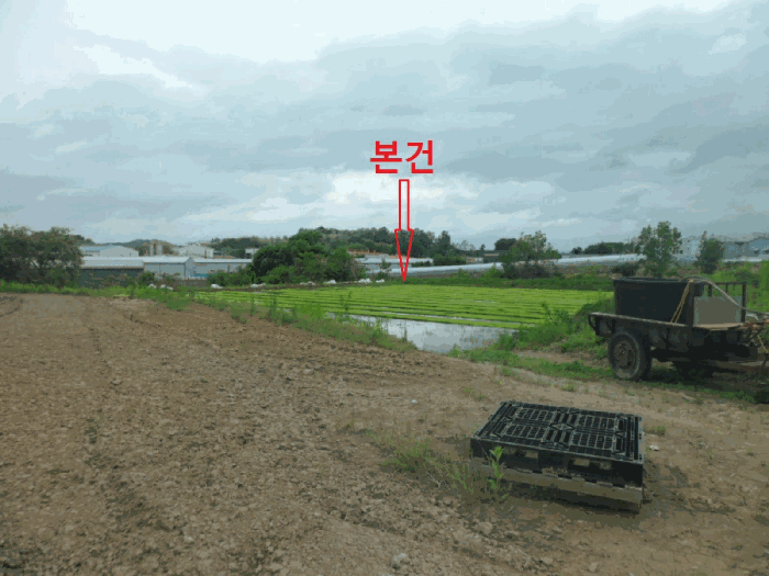 충청남도 천안시 성거읍 문덕리 231-2 답 경매 사진 30