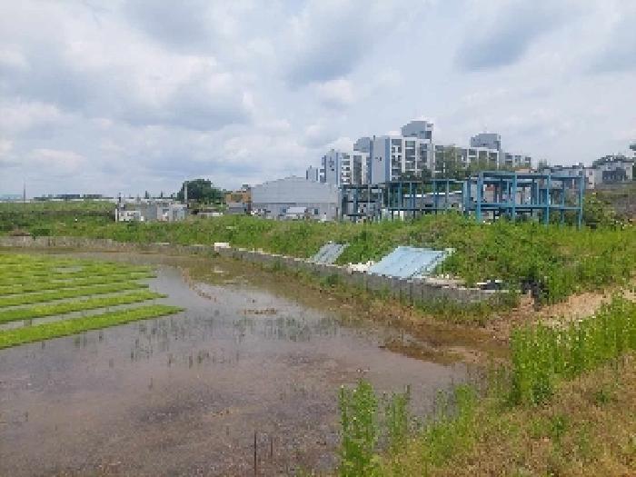 충청남도 천안시 성거읍 문덕리 231-2 답 경매 사진 27