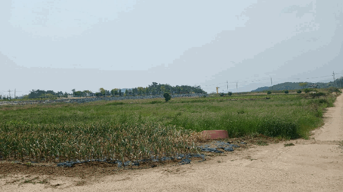 경상남도 사천시 서포면 다평리 1437 답 경매 사진 40
