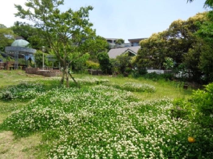 제주특별자치도 제주시 애월읍 광령리 2786-26 숙박시설 경매 사진 55