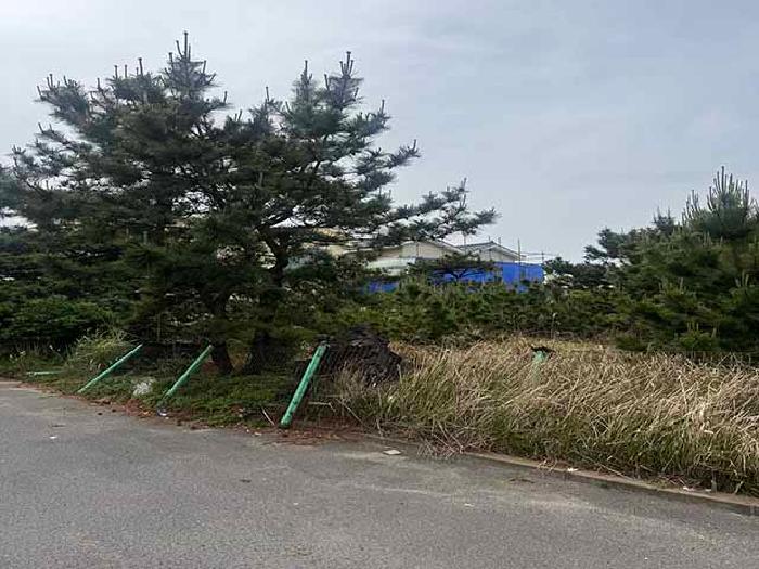 제주특별자치도 제주시 애월읍 애월리 2525-2 전 경매 사진 16