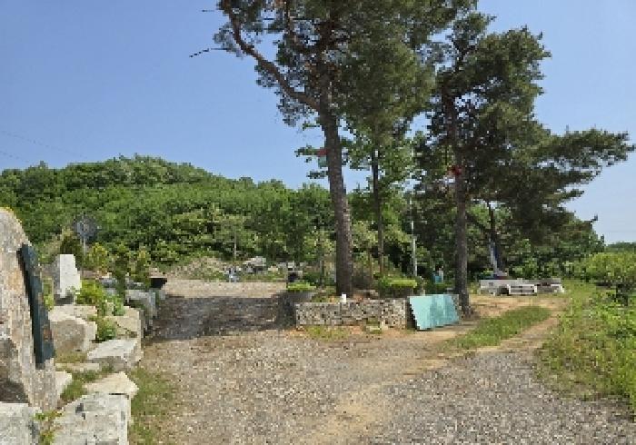 충청북도 충주시 엄정면 신만리 452-2 외 4필지 근린생활시설 경매 사진 22