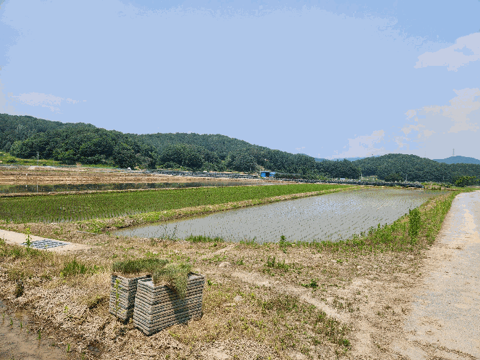 충청북도 충주시 앙성면 모점리 39 답 경매 사진 10
