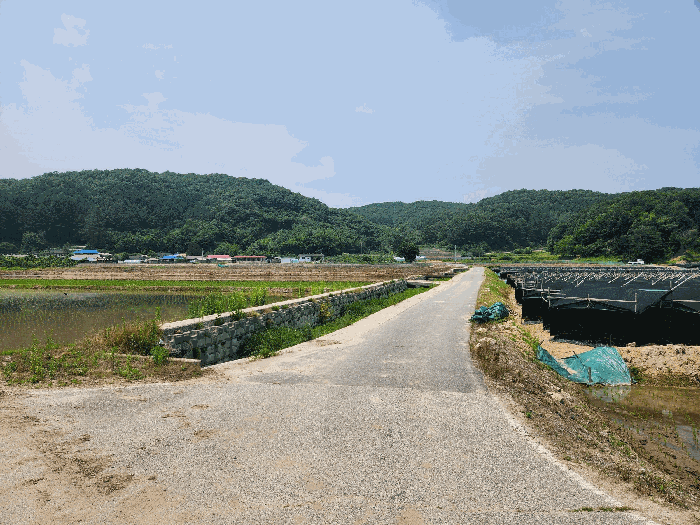 충청북도 충주시 앙성면 모점리 39 답 경매 사진 11