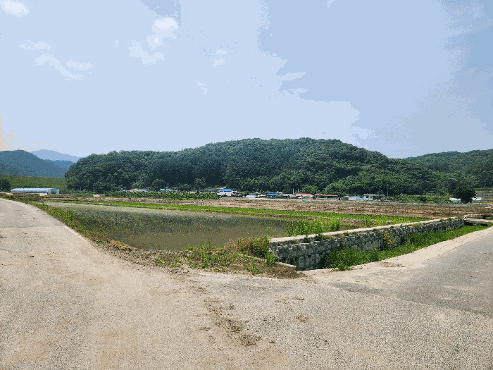 충청북도 충주시 앙성면 모점리 39 답 경매 사진 13