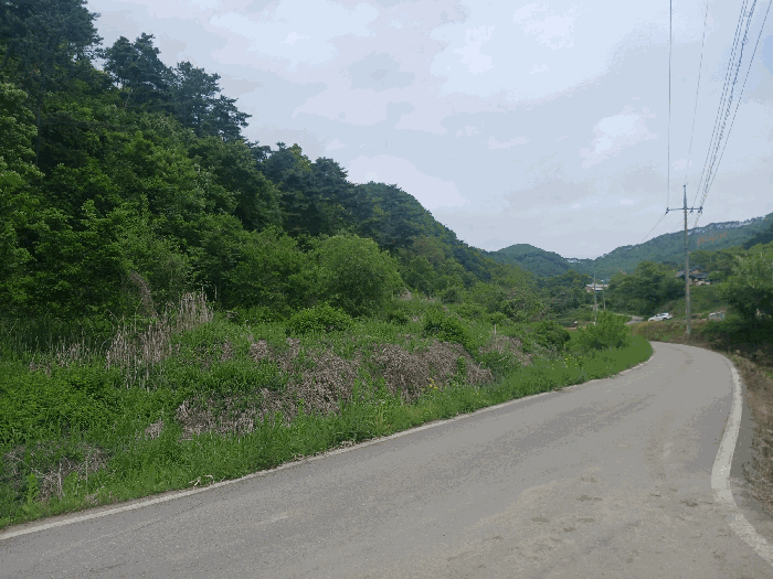 충청남도 공주시 유구읍 구계리 293 외 1필지 전 경매 사진 5