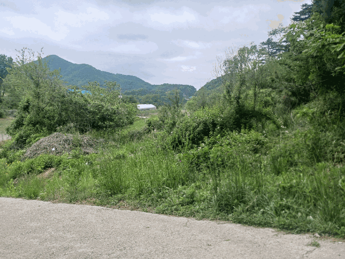 충청남도 공주시 유구읍 구계리 293 외 1필지 전 경매 사진 6