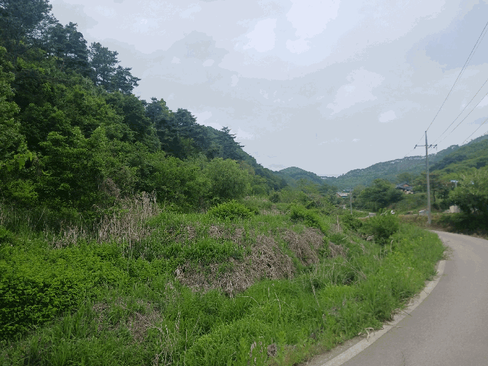 충청남도 공주시 유구읍 구계리 293 외 1필지 전 경매 사진 8