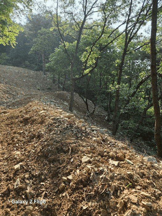경상남도 창원시 마산합포구 가포동 527-5 외 10필지 근린생활시설 경매 사진 44