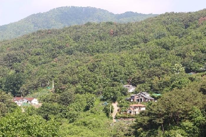 경상남도 밀양시 삼랑진읍 행곡리 산221 임야 경매 사진 2