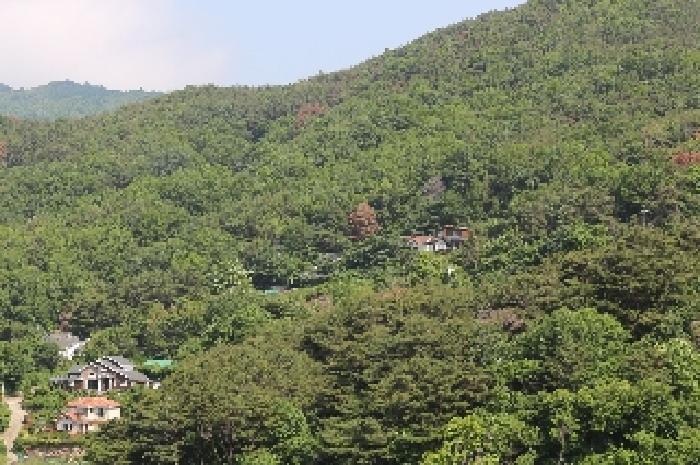 경상남도 밀양시 삼랑진읍 행곡리 산221 임야 경매 사진 3