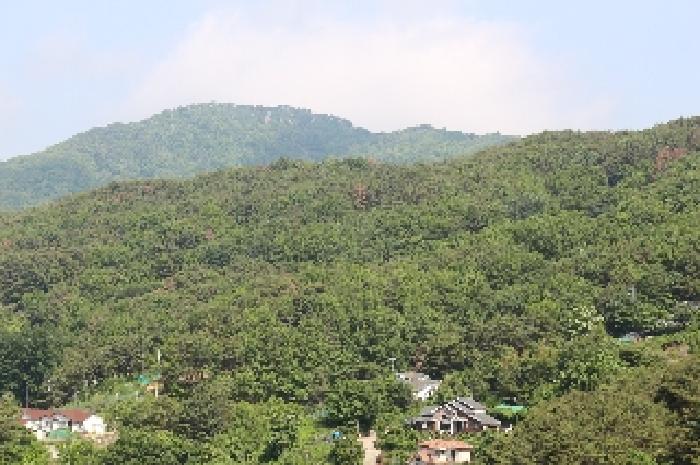 경상남도 밀양시 삼랑진읍 행곡리 산221 임야 경매 사진 4