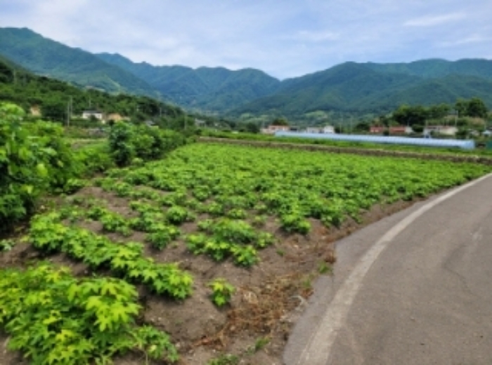 경상남도 하동군 악양면 중대리 509 답 경매 사진 25