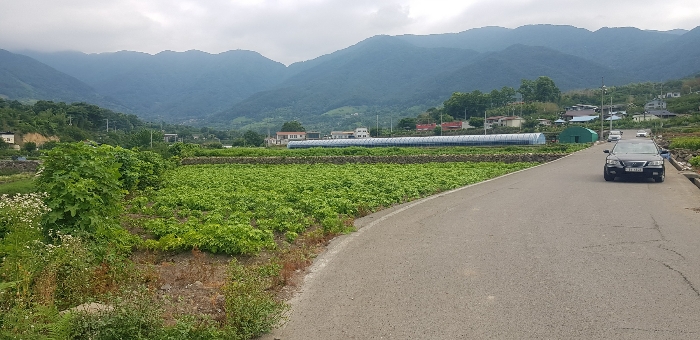경상남도 하동군 악양면 중대리 509 답 경매 사진 26