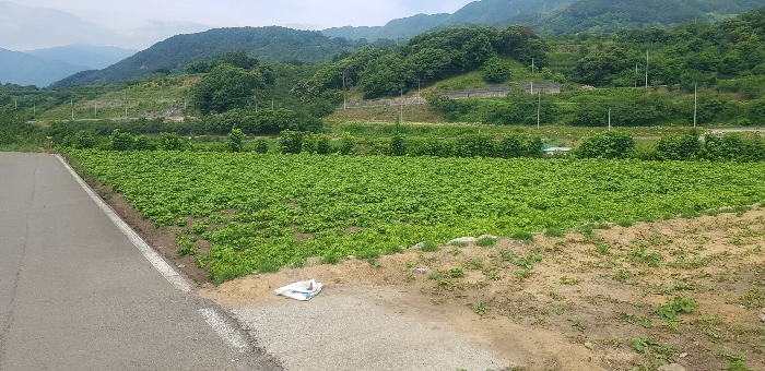 경상남도 하동군 악양면 중대리 509 답 경매 사진 27