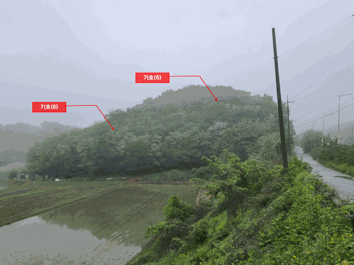 경기도 파주시 문산읍 임진리 산14 외 5필지 임야 경매 사진 33