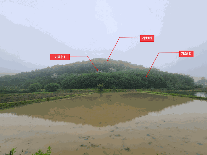 경기도 파주시 문산읍 임진리 산14 외 5필지 임야 경매 사진 35