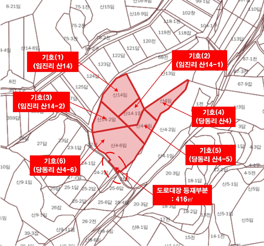 경기도 파주시 문산읍 임진리 산14 외 5필지 임야 경매 사진 37