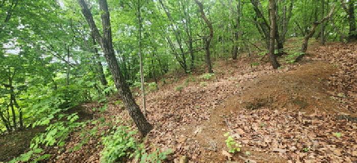경기도 파주시 문산읍 임진리 산14 외 5필지 임야 경매 사진 9