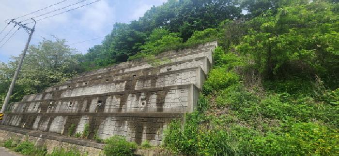 경기도 파주시 문산읍 임진리 산14 외 5필지 임야 경매 사진 10