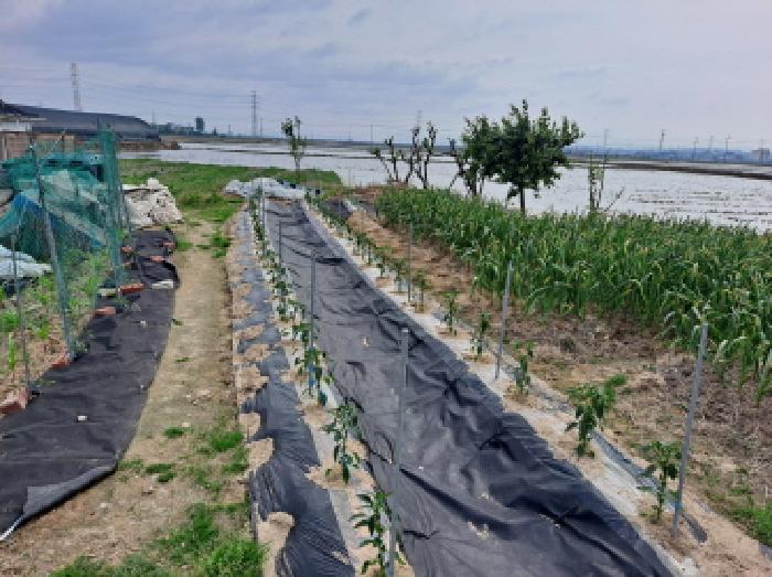 충청남도 당진시 합덕읍 점원리 56-3 대지 경매 사진 24