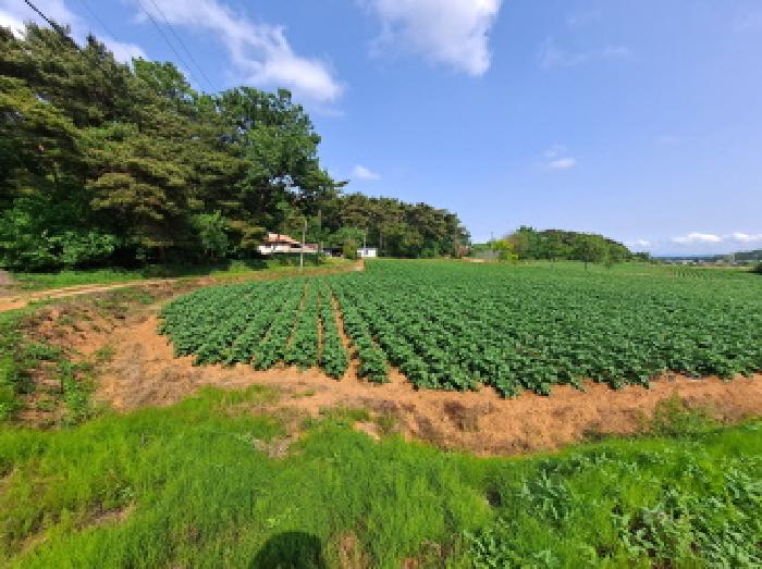 충청남도 당진시 송악읍 부곡리 362-1 전 경매 사진 41