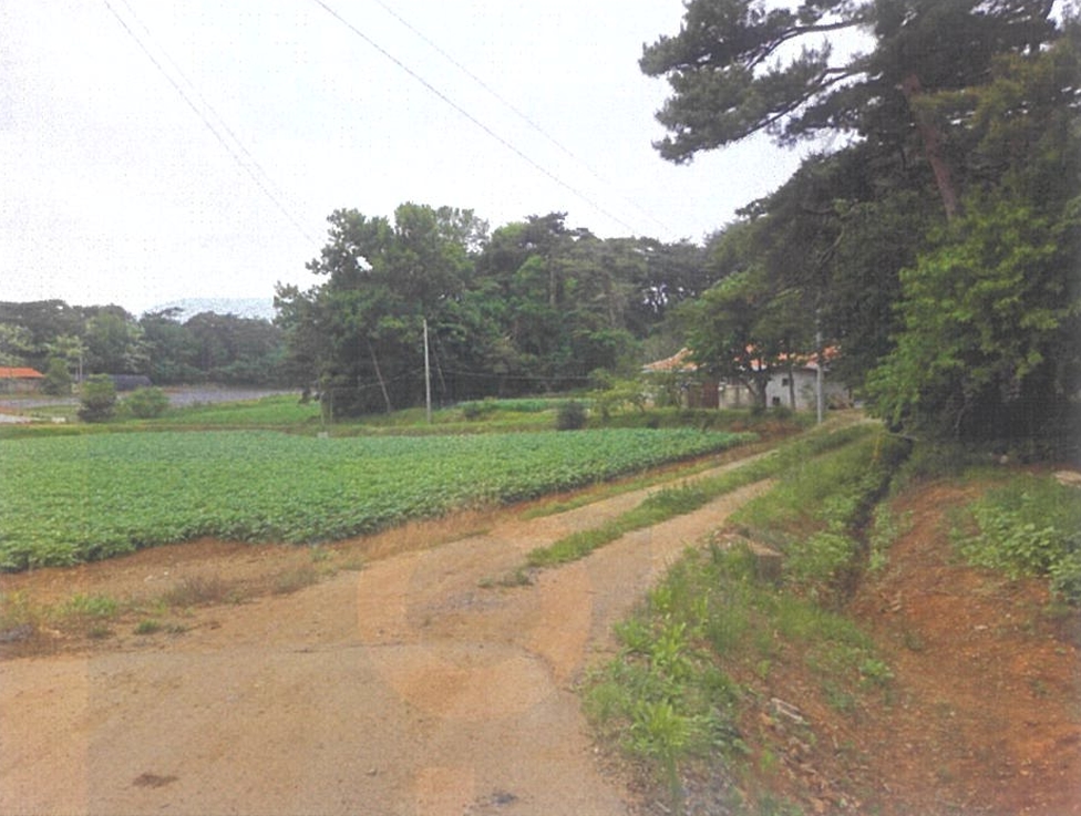 충청남도 당진시 송악읍 부곡리 362-1 전 경매 사진 30